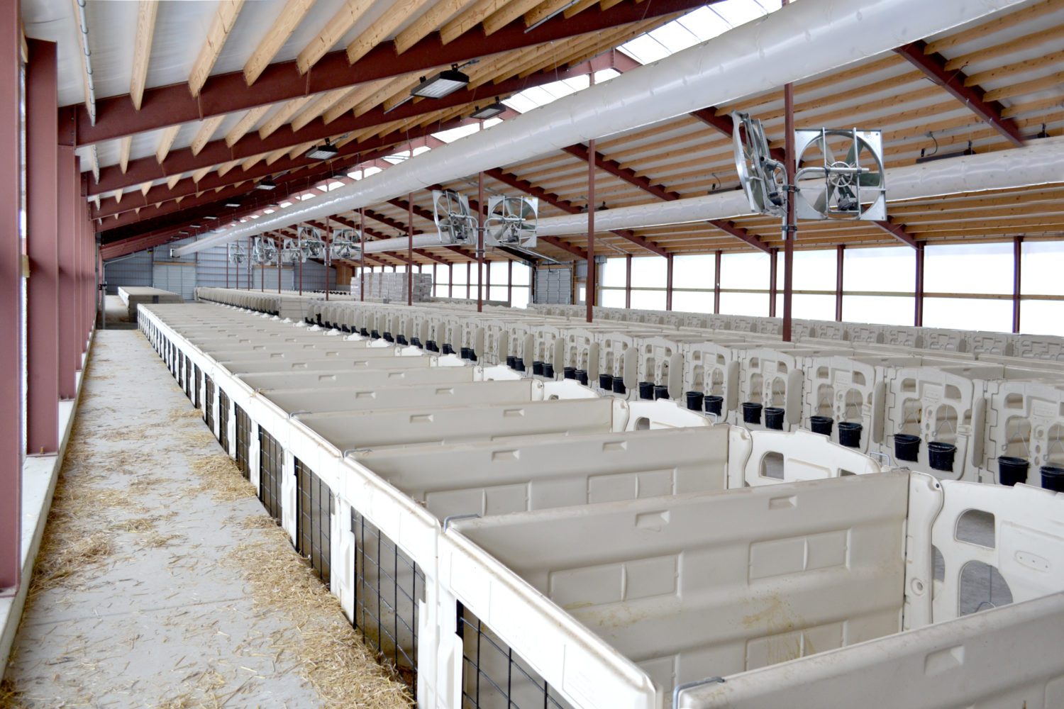 Calf Barns Archives Keller Builds